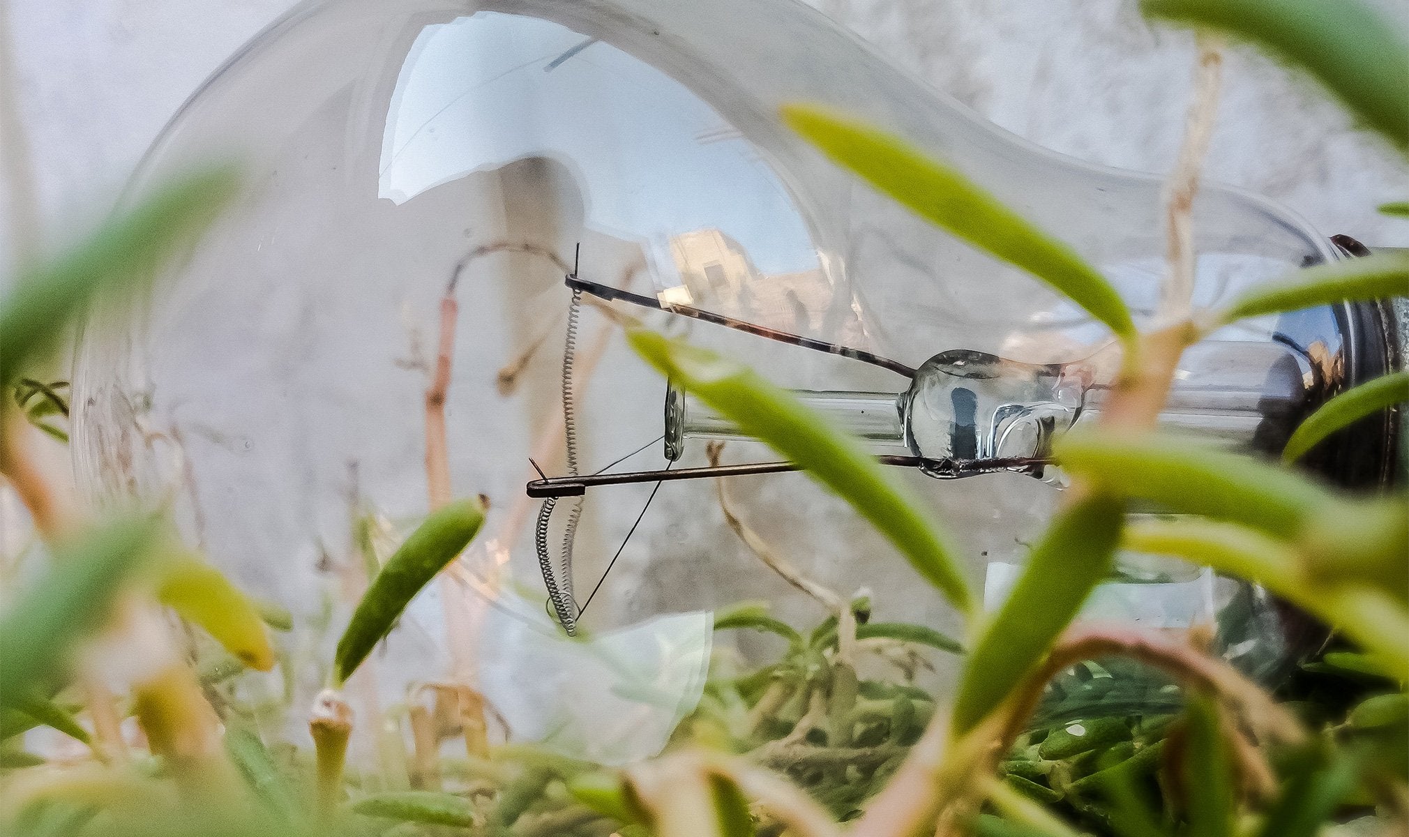 How Long Does CBD Stay Good? CBDfx UK