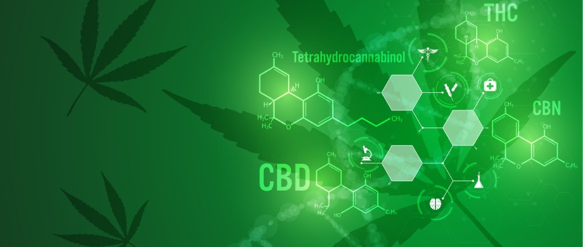 What Is CBD? CBDfx UK